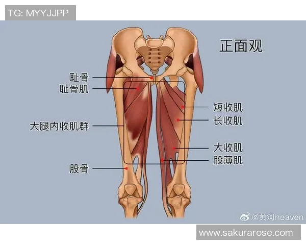 打篮球前热身膝盖的重要性与有效方法分享